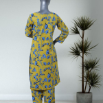 OG-014-2 Piece Printed Stitched Co-Ords