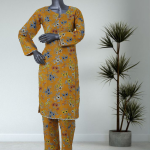 OG-006-2 Piece Printed Stitched Co-Ords