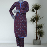 OG-009-2 Piece Printed Stitched Co-Ords